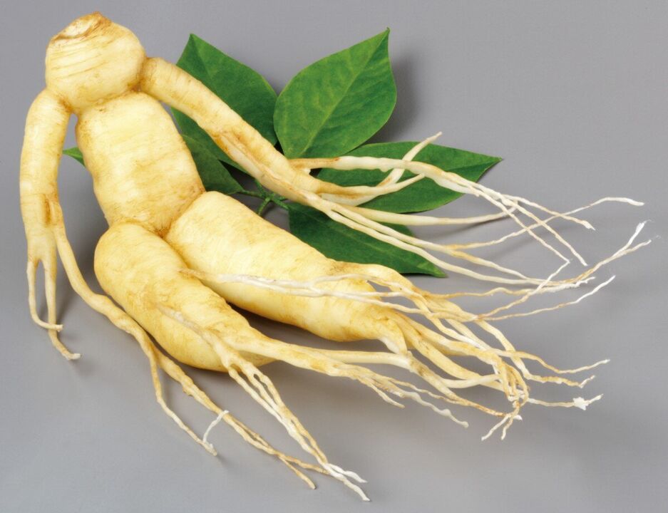 Ginseng root for potential