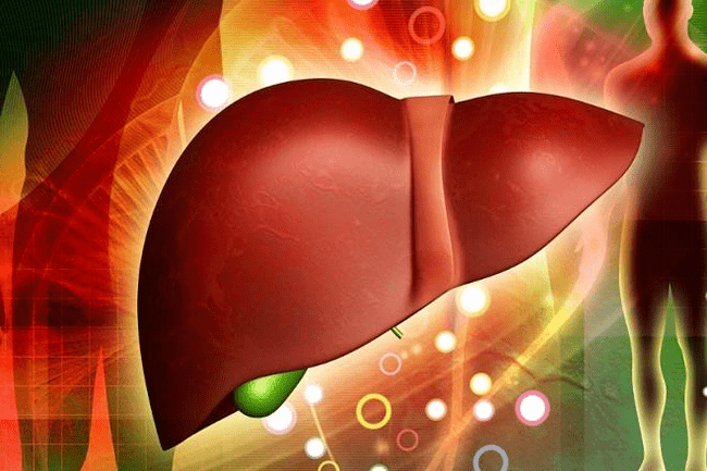 Potential effects of the drug on the liver